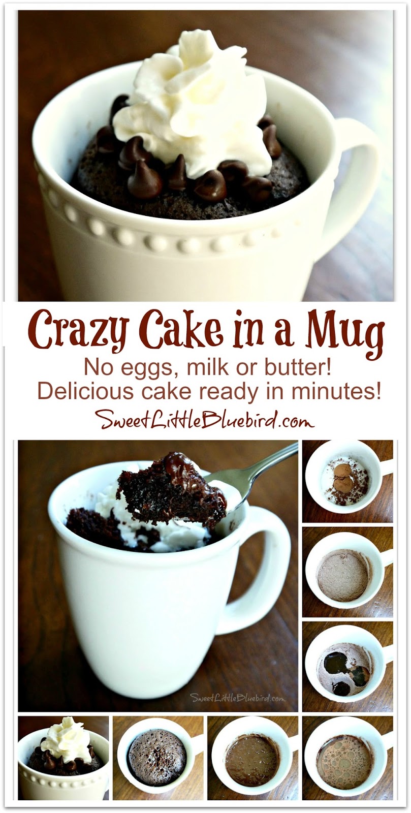 Crazy Cake in a Mug No Eggs Milk or Butter Ready in Minutes